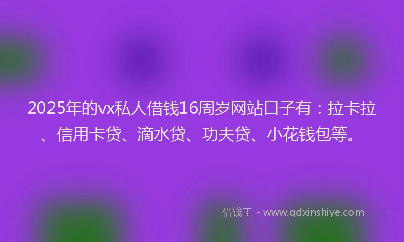 2025年的vx私人借钱16周岁网站口子有：拉卡拉、信用卡贷、滴水贷、功夫贷、小花钱包等。
