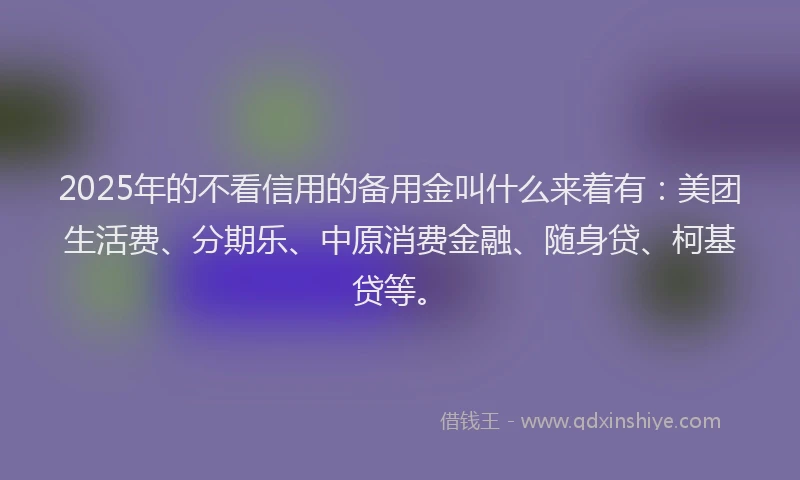 2025年的不看信用的备用金叫什么来着有：美团生活费、分期乐、中原消费金融、随身贷、柯基贷等。