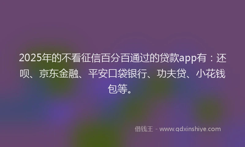 2025年的不看征信百分百通过的贷款app有：还呗、京东金融、平安口袋银行、功夫贷、小花钱包等。