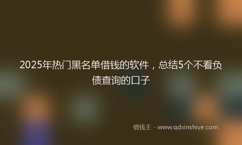 2025年热门黑名单借钱的软件，总结5个不看负债查询的口子