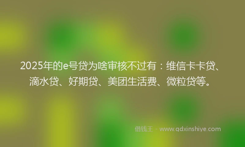2025年的e号贷为啥审核不过有：维信卡卡贷、滴水贷、好期贷、美团生活费、微粒贷等。