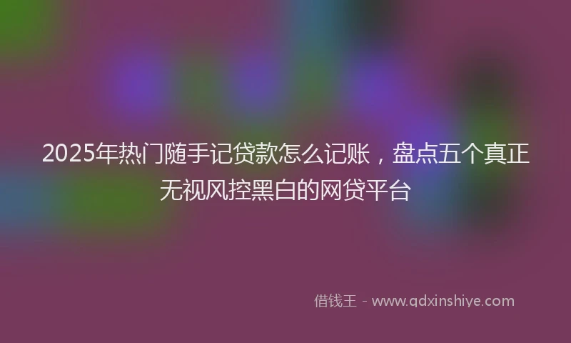 2025年热门随手记贷款怎么记账，盘点五个真正无视风控黑白的网贷平台