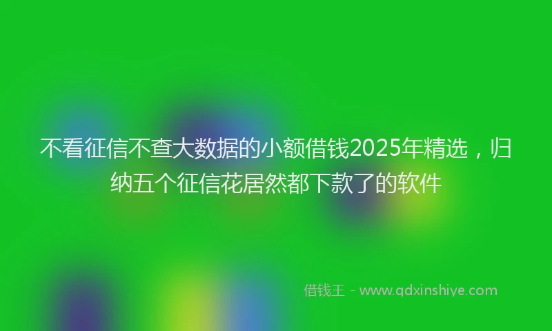 不看征信不查大数据的小额借钱2025年精选，归纳五个征信花居然都下款了的软件
