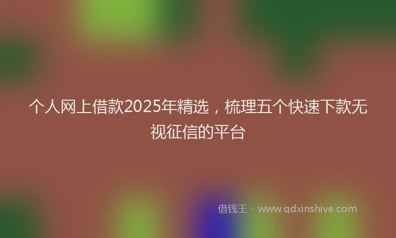 个人网上借款2025年精选，梳理五个快速下款无视征信的平台