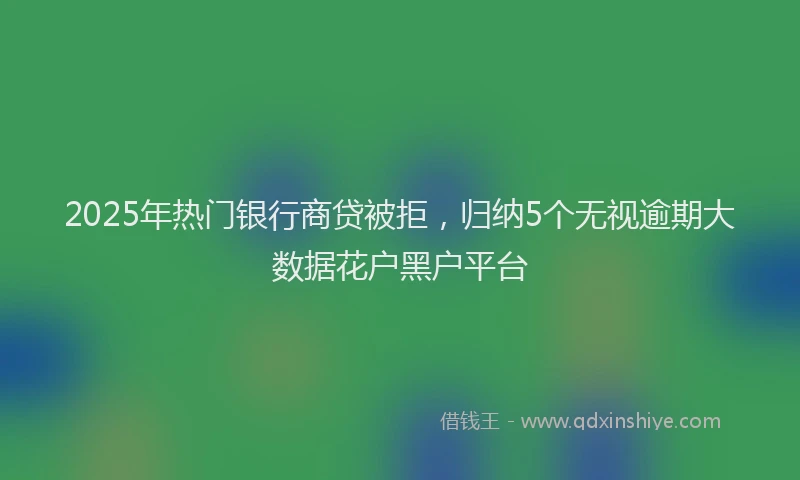 2025年热门银行商贷被拒，归纳5个无视逾期大数据花户黑户平台