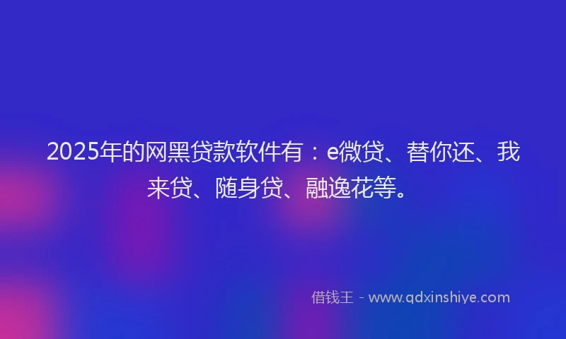 2025年的网黑贷款软件有：e微贷、替你还、我来贷、随身贷、融逸花等。