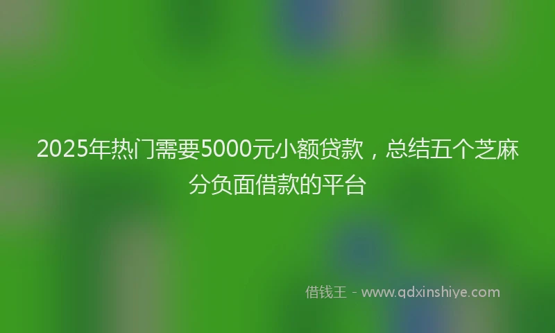 2025年热门需要5000元小额贷款，总结五个芝麻分负面借款的平台