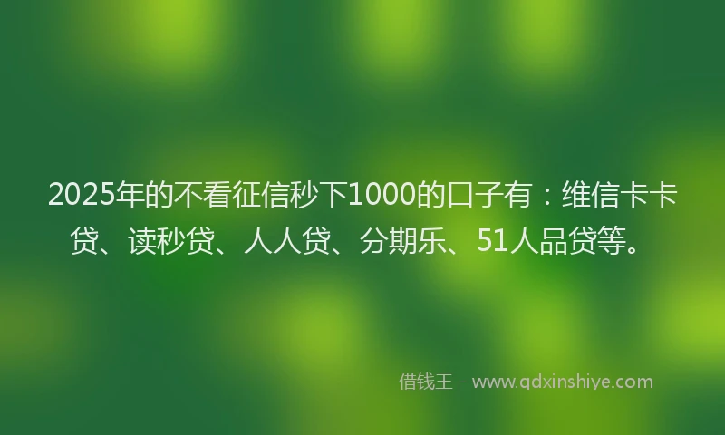 2025年的不看征信秒下1000的口子有：维信卡卡贷、读秒贷、人人贷、分期乐、51人品贷等。
