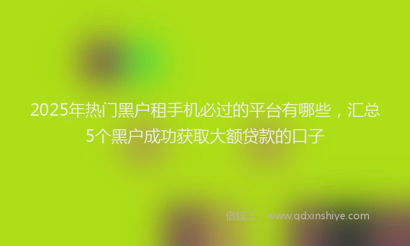 2025年热门黑户租手机必过的平台有哪些，汇总5个黑户成功获取大额贷款的口子