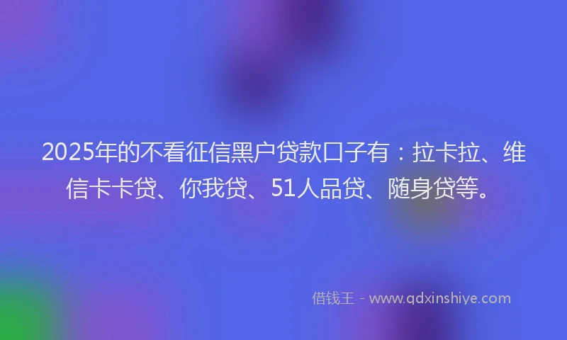 2025年的不看征信黑户贷款口子有：拉卡拉、维信卡卡贷、你我贷、51人品贷、随身贷等。
