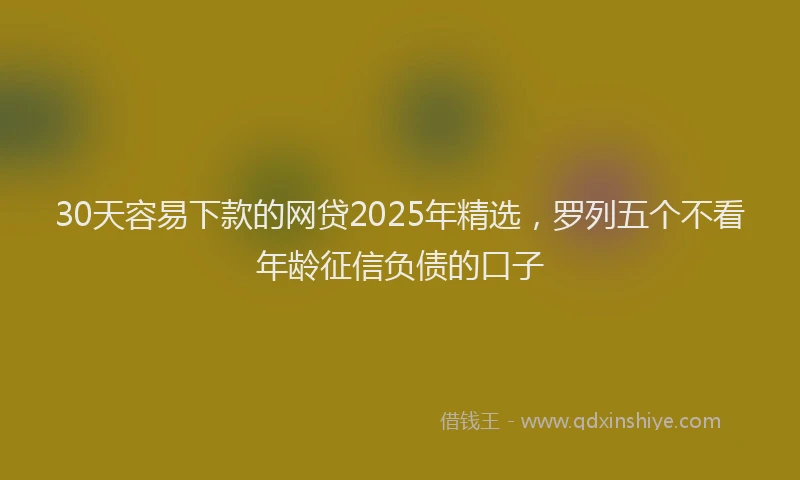 30天容易下款的网贷2025年精选，罗列五个不看年龄征信负债的口子