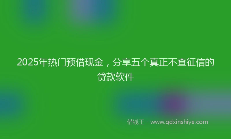 2025年热门预借现金，分享五个真正不查征信的贷款软件