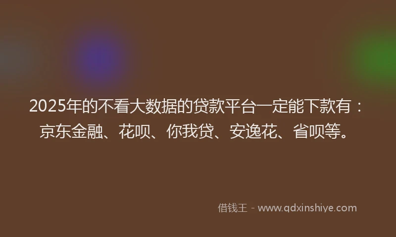 2025年的不看大数据的贷款平台一定能下款有：京东金融、花呗、你我贷、安逸花、省呗等。
