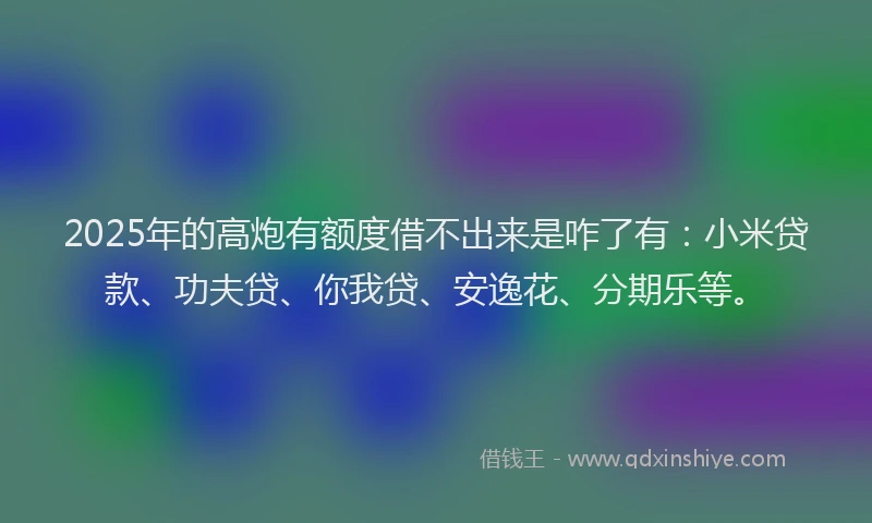 2025年的高炮有额度借不出来是咋了有：小米贷款、功夫贷、你我贷、安逸花、分期乐等。