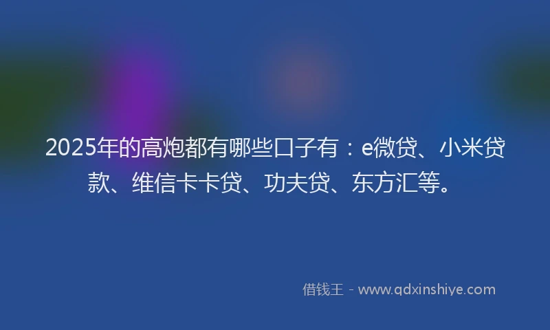 2025年的高炮都有哪些口子有：e微贷、小米贷款、维信卡卡贷、功夫贷、东方汇等。