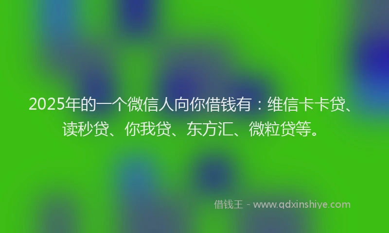 2025年的一个微信人向你借钱有：维信卡卡贷、读秒贷、你我贷、东方汇、微粒贷等。
