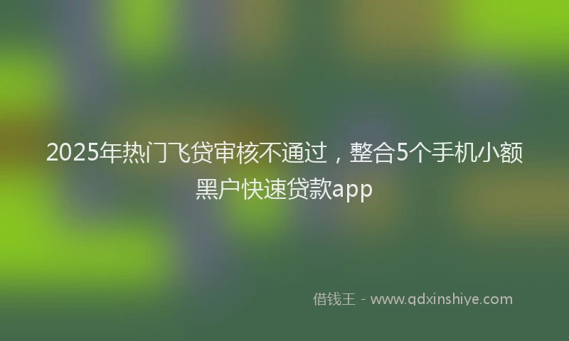2025年热门飞贷审核不通过，整合5个手机小额黑户快速贷款app