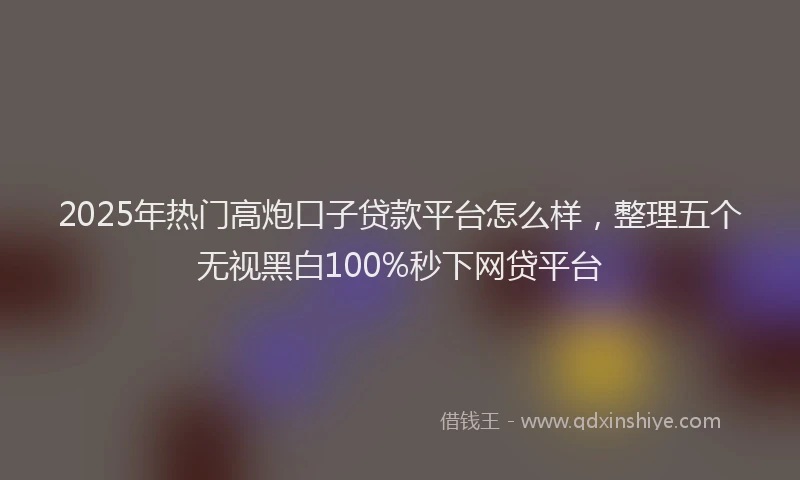2025年热门高炮口子贷款平台怎么样，整理五个无视黑白100%秒下网贷平台