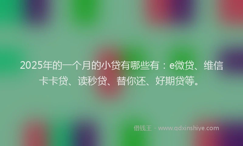 2025年的一个月的小贷有哪些有：e微贷、维信卡卡贷、读秒贷、替你还、好期贷等。