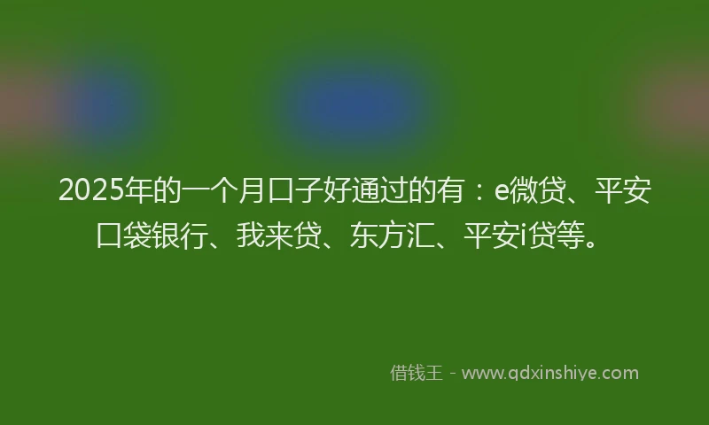 2025年的一个月口子好通过的有：e微贷、平安口袋银行、我来贷、东方汇、平安i贷等。