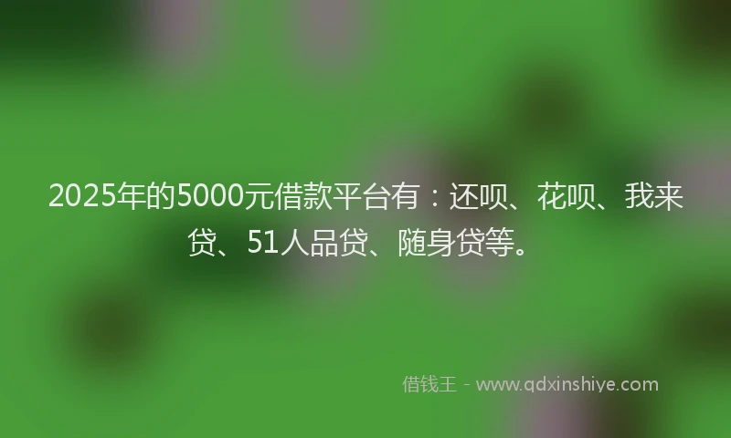 2025年的5000元借款平台有：还呗、花呗、我来贷、51人品贷、随身贷等。