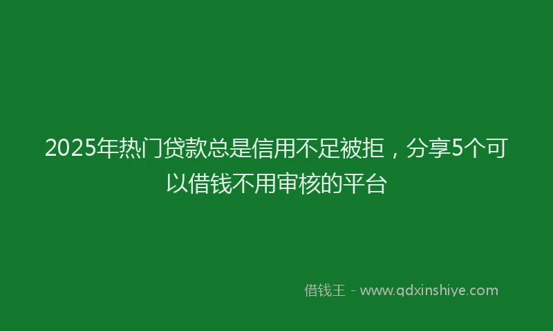 2025年热门贷款总是信用不足被拒，分享5个可以借钱不用审核的平台
