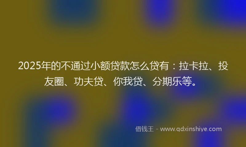 2025年的不通过小额贷款怎么贷有：拉卡拉、投友圈、功夫贷、你我贷、分期乐等。