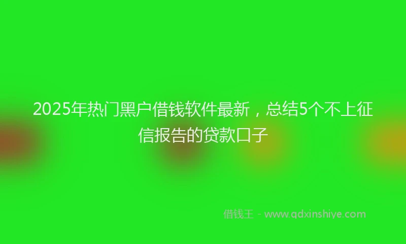 2025年热门黑户借钱软件最新，总结5个不上征信报告的贷款口子