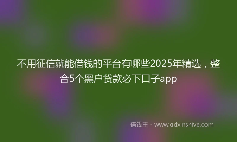 不用征信就能借钱的平台有哪些2025年精选，整合5个黑户贷款必下口子app