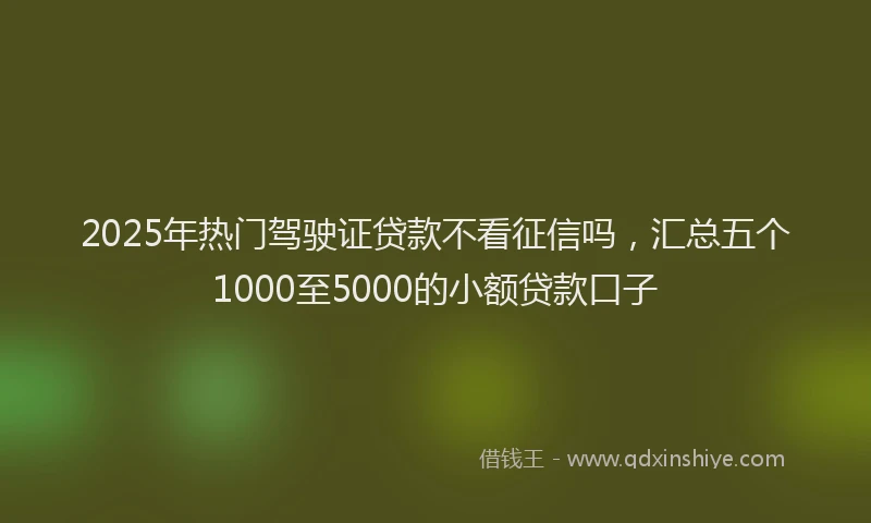 2025年热门驾驶证贷款不看征信吗，汇总五个1000至5000的小额贷款口子