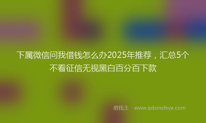下属微信问我借钱怎么办2025年推荐，汇总5个不看征信无视黑白百分百下款