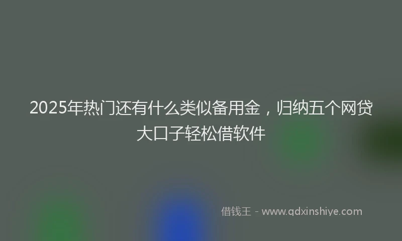 2025年热门还有什么类似备用金，归纳五个网贷大口子轻松借软件