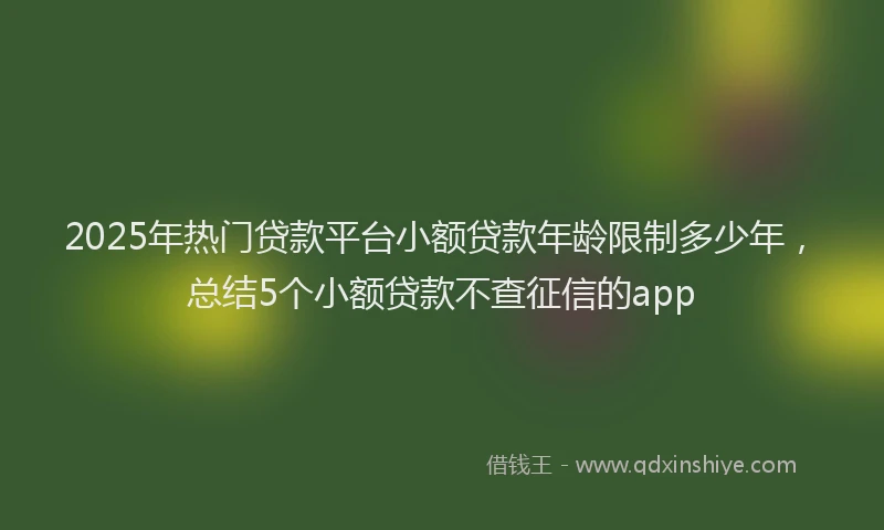 2025年热门贷款平台小额贷款年龄限制多少年，总结5个小额贷款不查征信的app