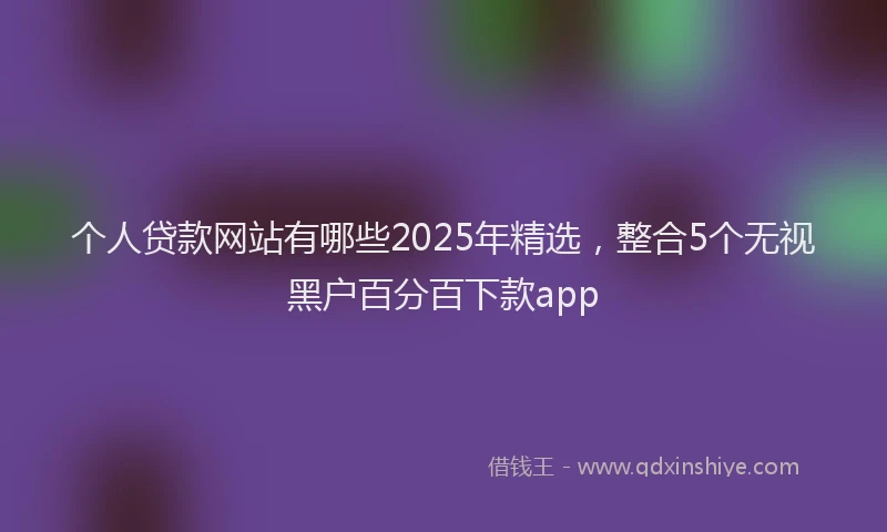 个人贷款网站有哪些2025年精选，整合5个无视黑户百分百下款app