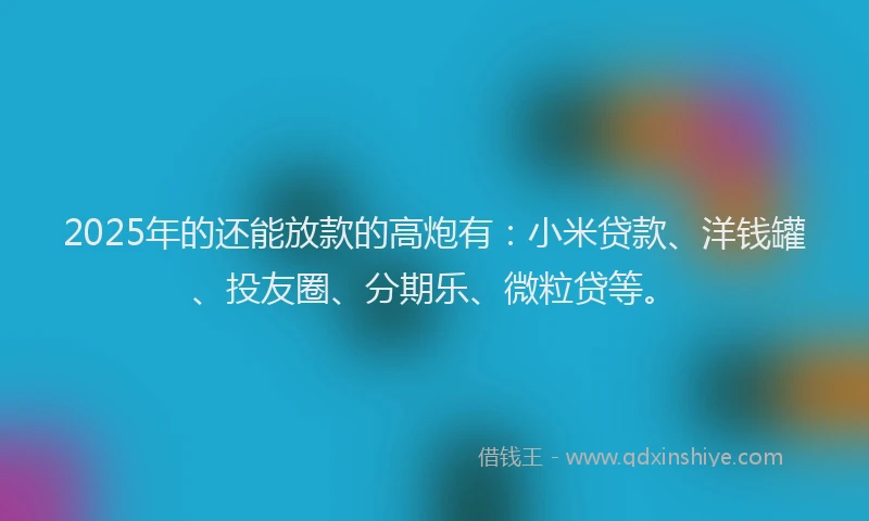 2025年的还能放款的高炮有：小米贷款、洋钱罐、投友圈、分期乐、微粒贷等。
