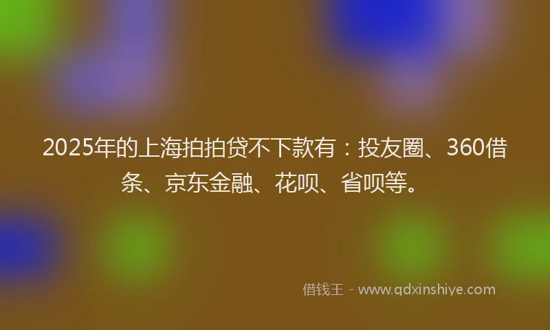 2025年的上海拍拍贷不下款有：投友圈、360借条、京东金融、花呗、省呗等。