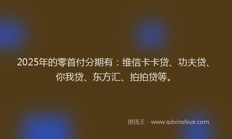 2025年的零首付分期有：维信卡卡贷、功夫贷、你我贷、东方汇、拍拍贷等。
