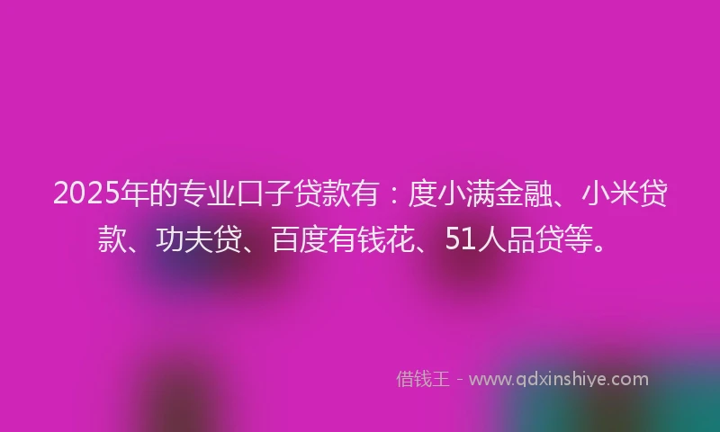 2025年的专业口子贷款有：度小满金融、小米贷款、功夫贷、百度有钱花、51人品贷等。
