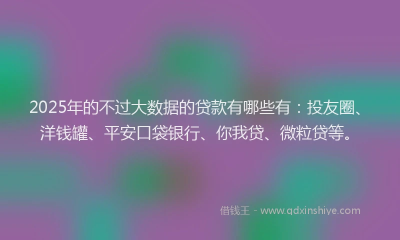 2025年的不过大数据的贷款有哪些有：投友圈、洋钱罐、平安口袋银行、你我贷、微粒贷等。