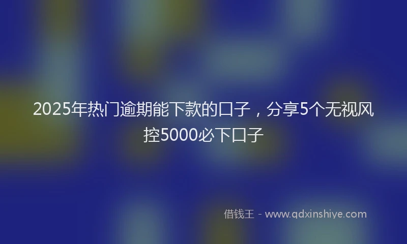 2025年热门逾期能下款的口子，分享5个无视风控5000必下口子