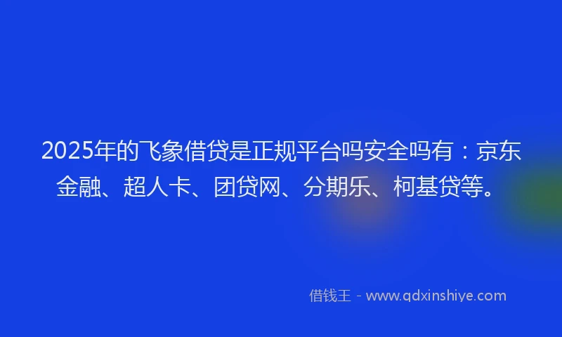 2025年的飞象借贷是正规平台吗安全吗有：京东金融、超人卡、团贷网、分期乐、柯基贷等。