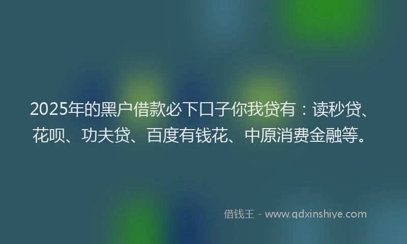 2025年的黑户借款必下口子你我贷有：读秒贷、花呗、功夫贷、百度有钱花、中原消费金融等。