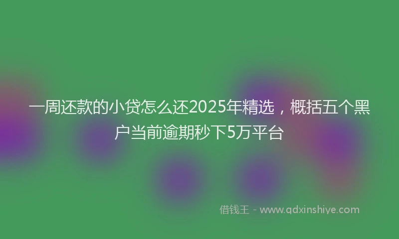 一周还款的小贷怎么还2025年精选，概括五个黑户当前逾期秒下5万平台