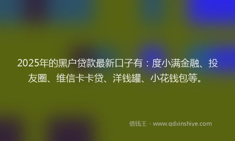 2025年的黑户贷款最新口子有：度小满金融、投友圈、维信卡卡贷、洋钱罐、小花钱包等。