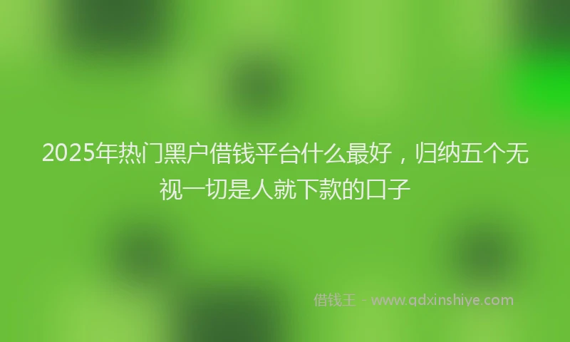 2025年热门黑户借钱平台什么最好，归纳五个无视一切是人就下款的口子