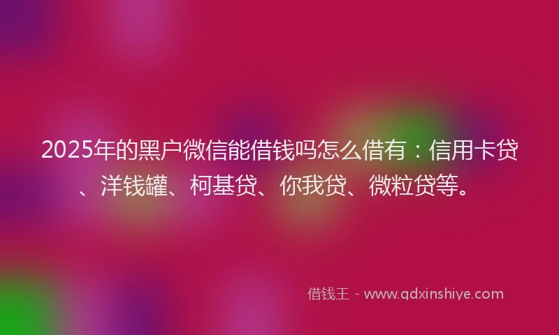 2025年的黑户微信能借钱吗怎么借有：信用卡贷、洋钱罐、柯基贷、你我贷、微粒贷等。