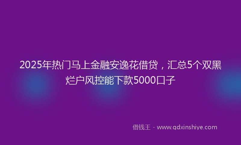 2025年热门马上金融安逸花借贷，汇总5个双黑烂户风控能下款5000口子
