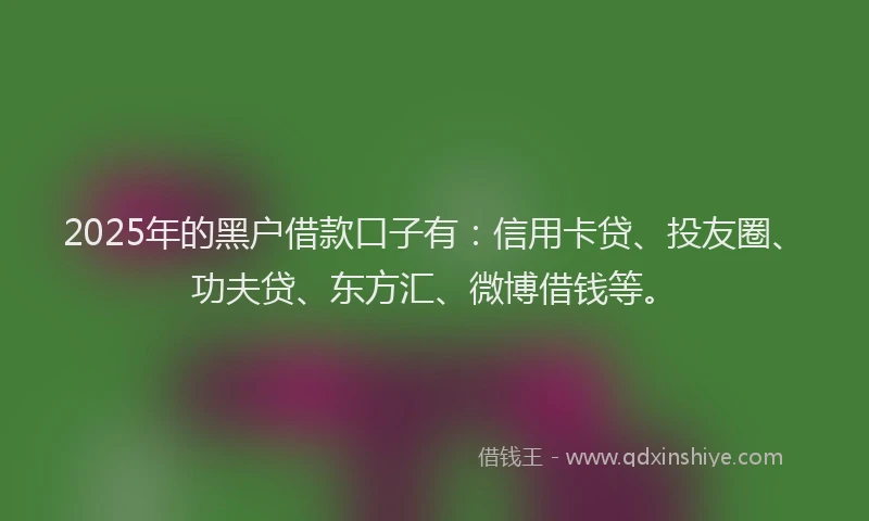 2025年的黑户借款口子有：信用卡贷、投友圈、功夫贷、东方汇、微博借钱等。