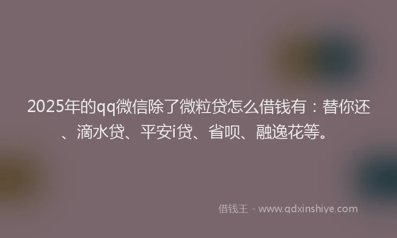 2025年的qq微信除了微粒贷怎么借钱有：替你还、滴水贷、平安i贷、省呗、融逸花等。