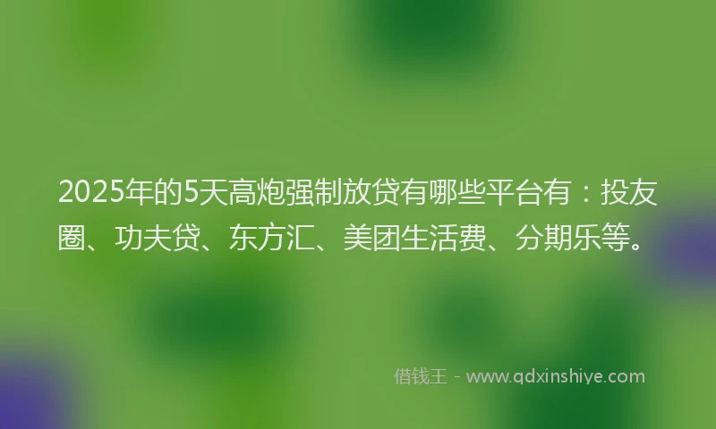 2025年的5天高炮强制放贷有哪些平台有：投友圈、功夫贷、东方汇、美团生活费、分期乐等。